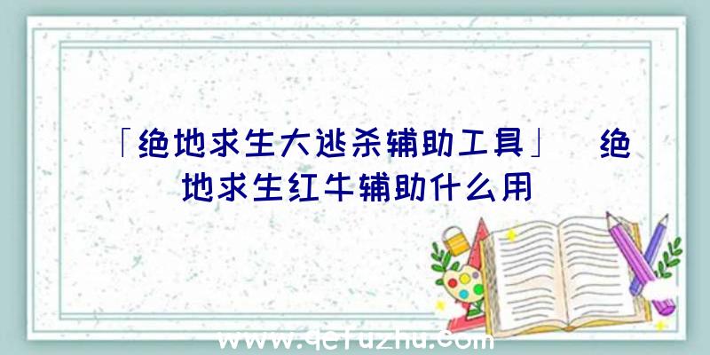 「绝地求生大逃杀辅助工具」|绝地求生红牛辅助什么用